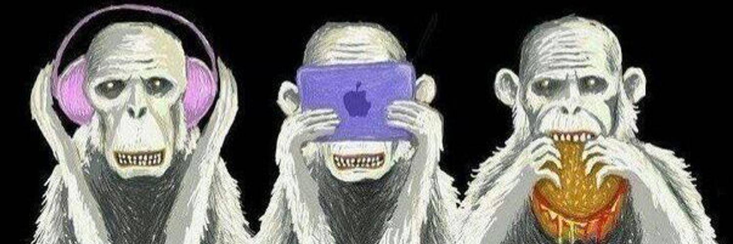 Женщина-невеста смотрит на обезьяну в зоопарке на дне свадьбы.
