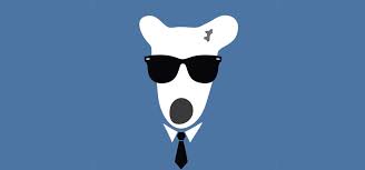 Аксессуары: солнечные очки с логотипом на стекле в стиле трафарета.