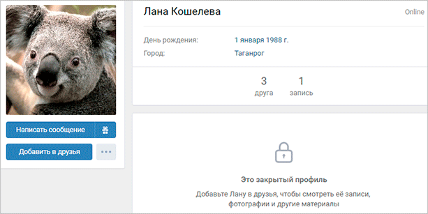 Млекопитающее животное - коала, символ дикой природы: медведь в дикой природе.
