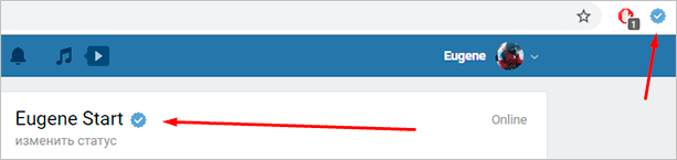 Как бесплатно получить галочку ВКонтакте: развернутый план