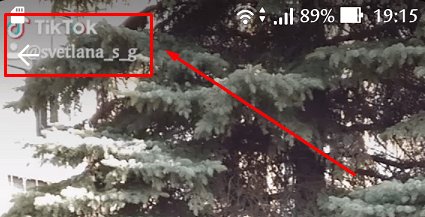 Как удалить видео в TikTok и можно ли восстановить его после удаления