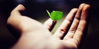 The Top 10 Consumer Internet Growth Hacks