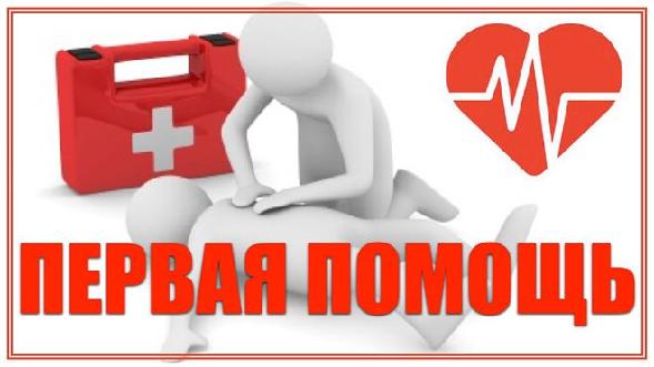 Лучшие курсы первой медицинской помощи, которые можно пройти онлайн или очно