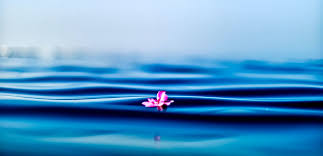 Что такое осознанность: разбираемся в тонкостях понятия и учимся жить в моменте