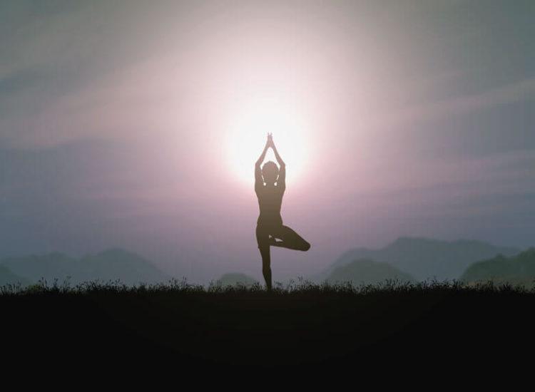 15+ лучших курсов йоги онлайн для начинающих и практикующих