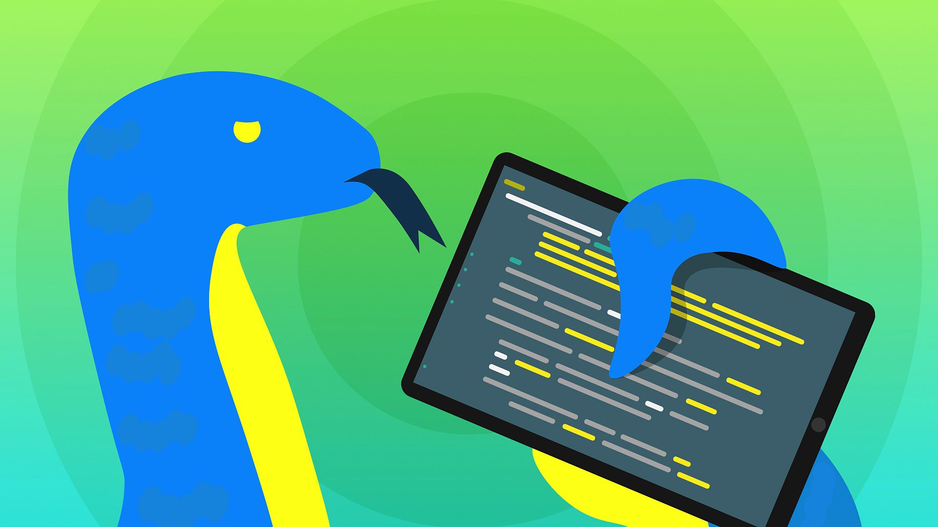 Язык программирования Python: применение, особенности и перспективы