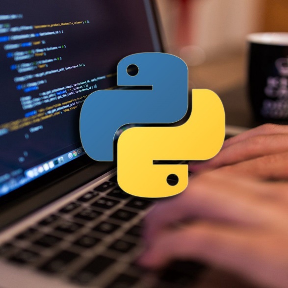 7 преимуществ изучения языка python для веб-разработки