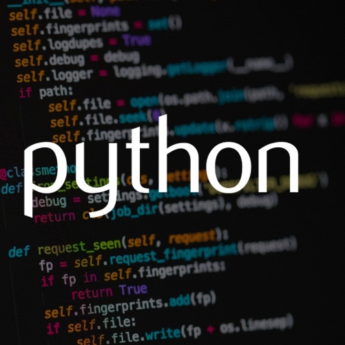 13 реальных примеров использования Python в веб-разработке