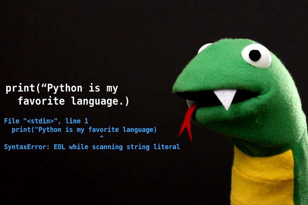 5 причин, почему именно Python стоит выбрать начинающему программисту