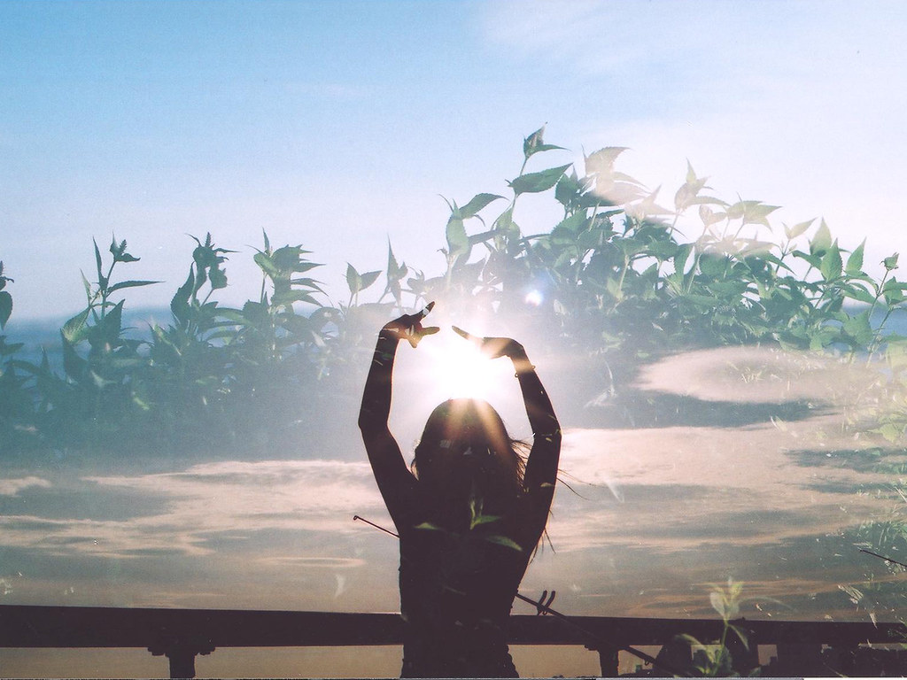 Дайджест Фрилансера: Самый Полный Гайд Начинающим Фрилансерам