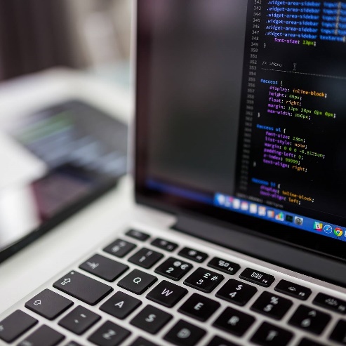 Чем занимаются веб-разработчики?