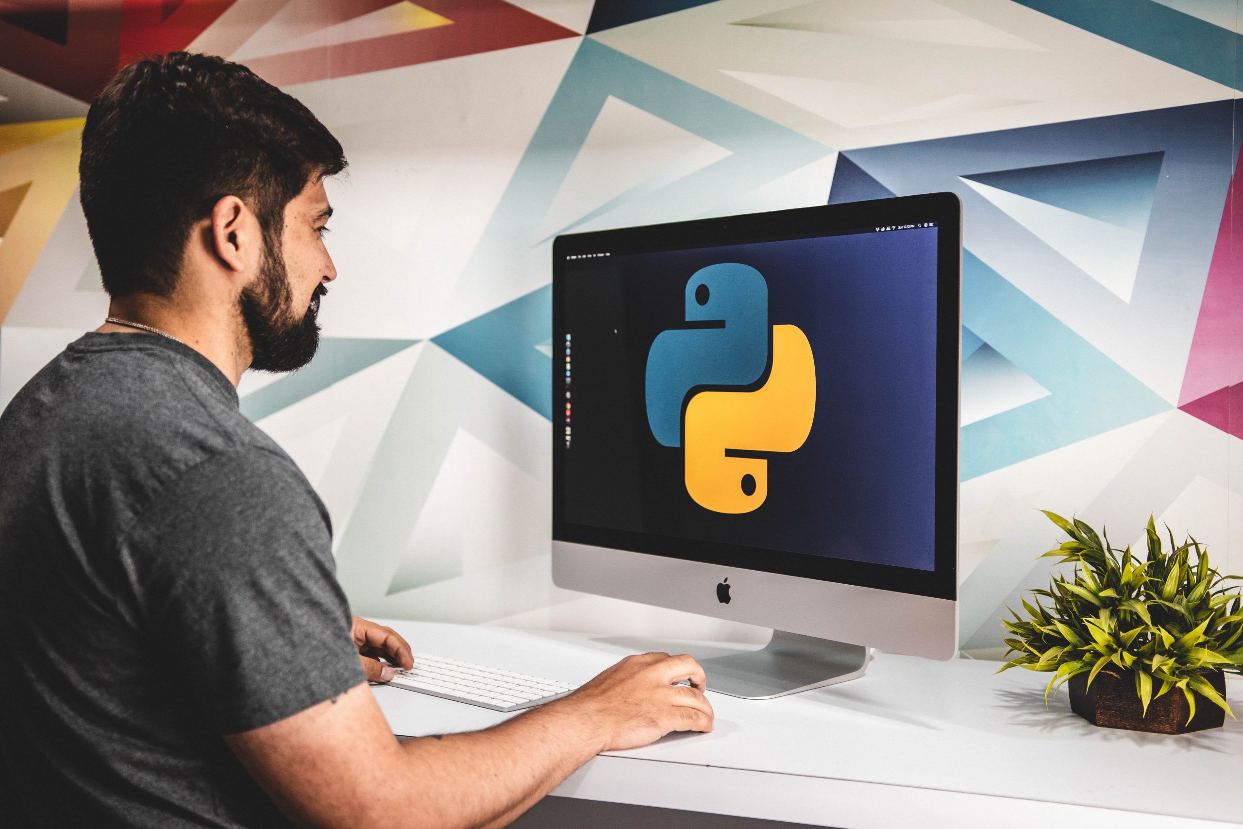 Чем занимаются python-программисты?