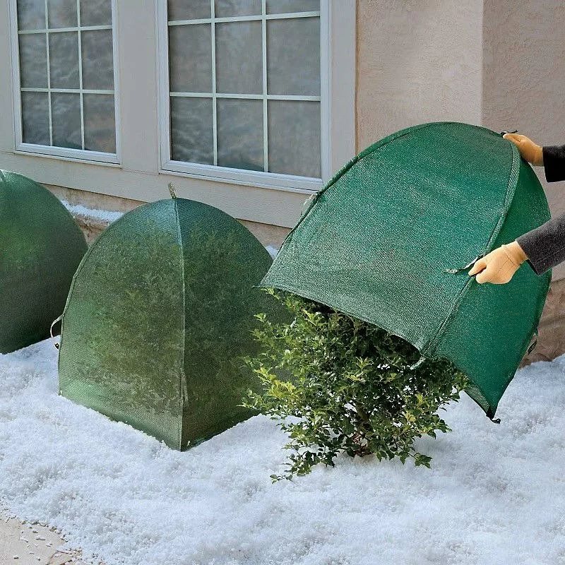 5 Crucial Steps to Prepare Your Home for an Exterior