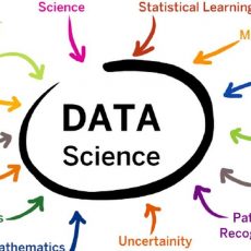Data Scientist Roles & Responsibilities