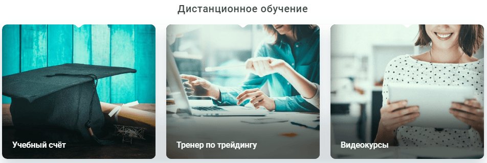 10 лучших курсов по инвестированию для начинающих и опытных инвесторов