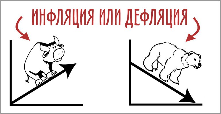 Животное Canine, собака, млекопитающее, домашнее животное, поросенок.