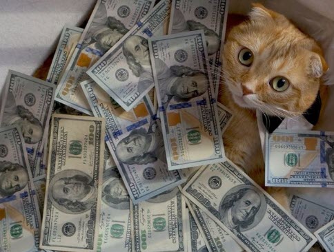 Человек с деньгами и кот, представляющий финансовую независимость и домашнего млекопитающего.