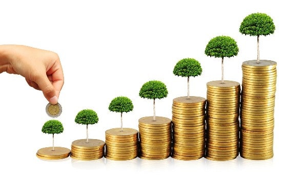 Рассада растения с монетами - символ денег и процветания.