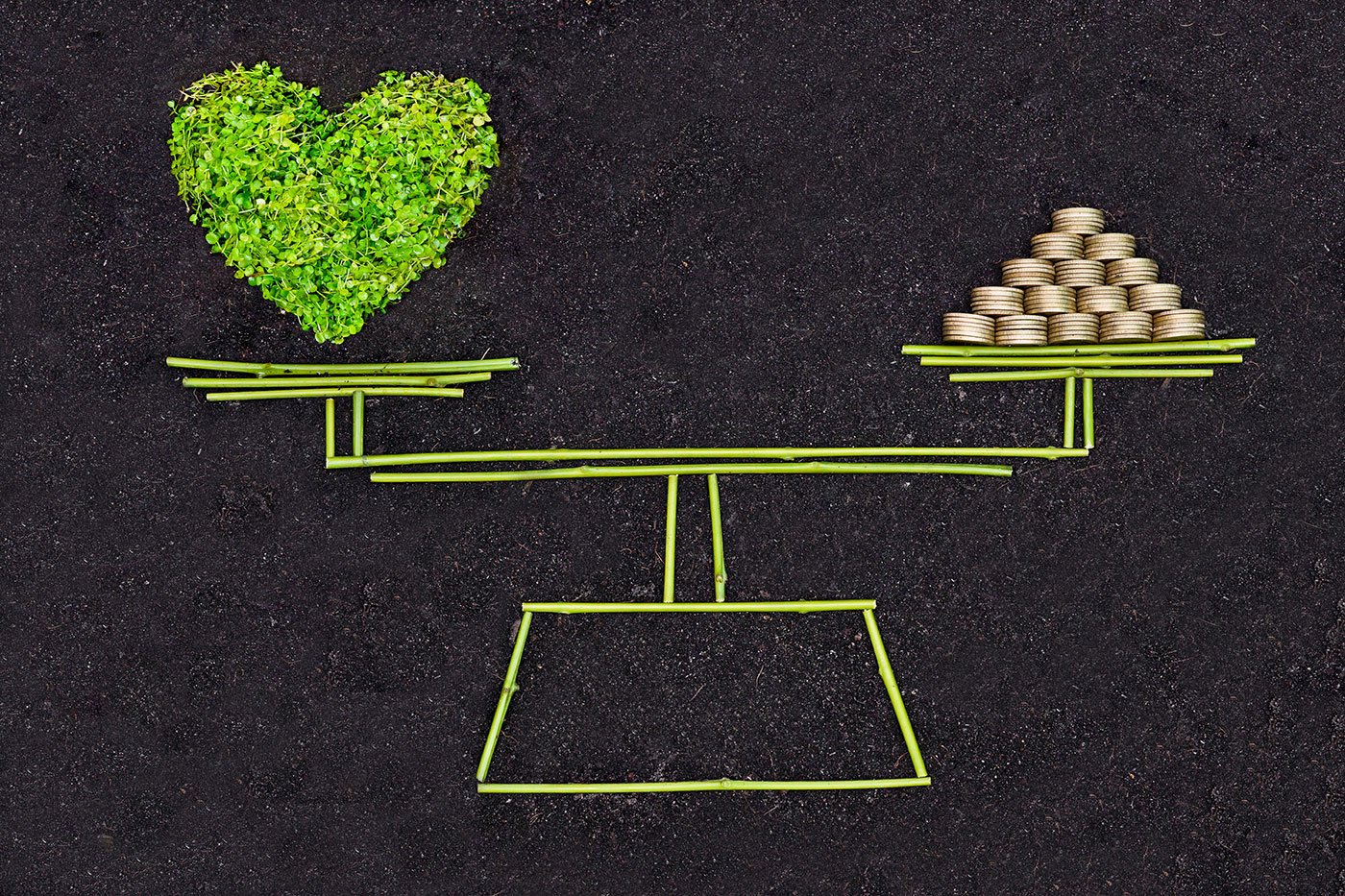 Что такое ESG-инвестиции: как инвестировать с заботой об окружающей среде и нравственном здоровье общества