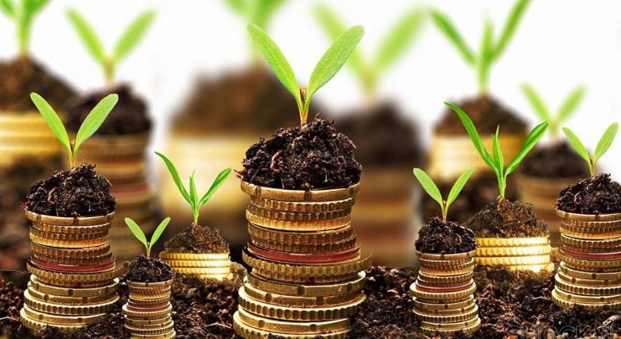 Что такое ESG-инвестиции: как инвестировать с заботой об окружающей среде и нравственном здоровье общества