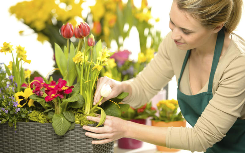 Женщина садовод в природе, украшает цветочные композиции в саду.