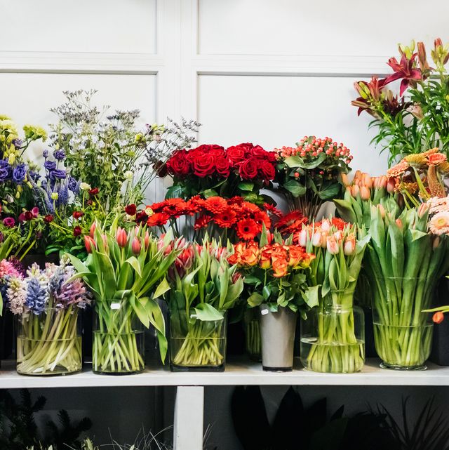 Букет цветов и растений, красивое цветочное украшение с разноцветными цветами.