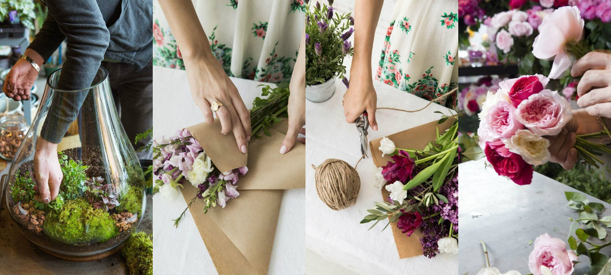 Мужчина с ножом режет розу на заднем плане с зеленой растением.