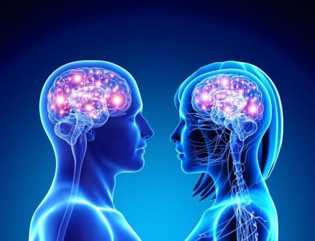 Человек наблюдает за морской жизнью, включая животного, на пляже.