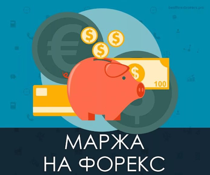 Реклама Плакат Свинья Копилка Медведь Млекопитающее Дикая природа.