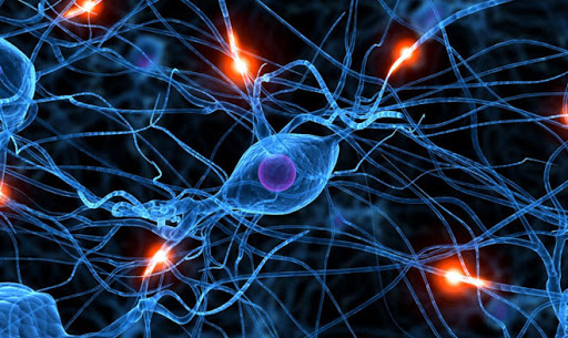 Узорчатые аксессуары с фрактальным орнаментом для стильного образа.