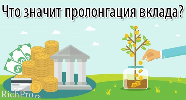 Фотография летнего дня на природе с изображением пейзажа и уличных растений.