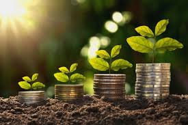 Растение с зеленым листом на фоне природы с монетой, символизирующей деньги.