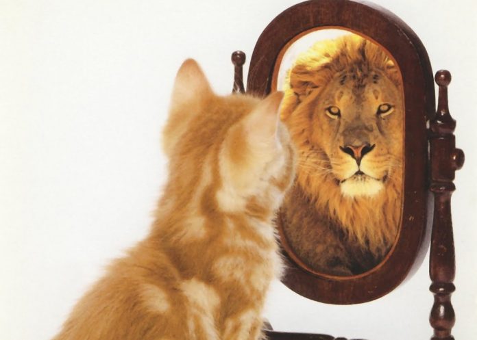 Животное лев, млекопитающее, дикая природа, хищник, живопись, искусство.