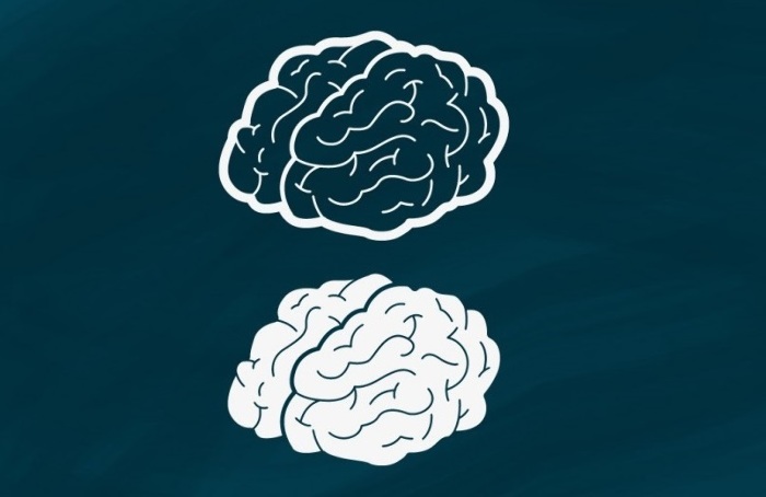 Поверхность воды с рукой человека, животным и морской риф.