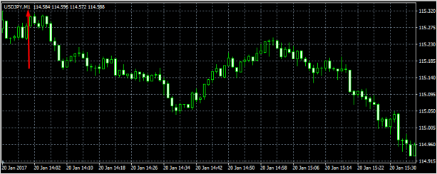 Kак начать торговать на Форекс: инструкция для начинающих