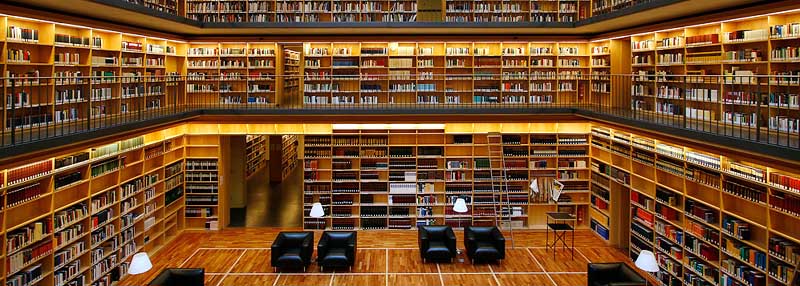 Книга в библиотеке: персона сидит на стуле, окруженная книгами и мебелью.