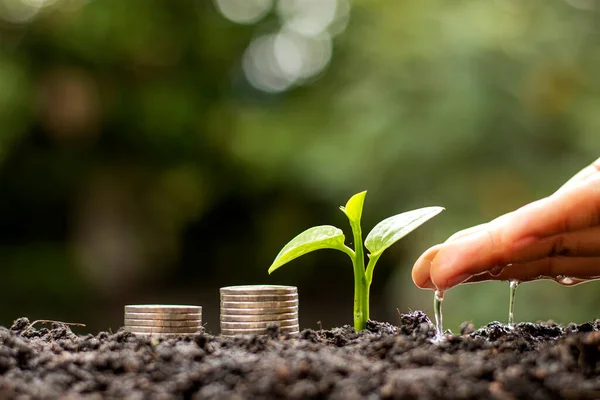 Инвестиции – что это такое простыми словами, для чего нужны, и с чего начать новичку создавать капитал