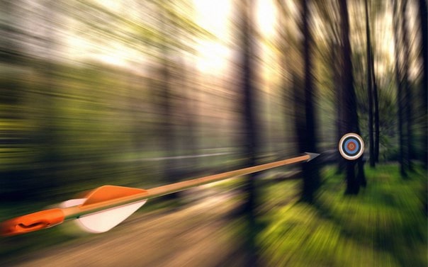 Весла на лодке с растениями - экипировка, транспортное средство с зеленым убранством.