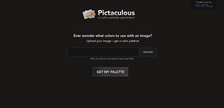 Brand Color Palette Generator: The Ultimate List to find the Best for your Brand