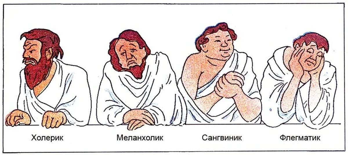 Кто такой флегматик: особенности типа, плюсы и минусы + совместимость с другими темпераментами