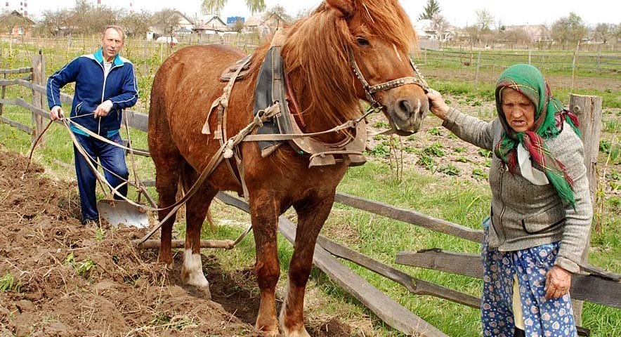 Мужчина и женщина на лошади на природе в сельской местности.