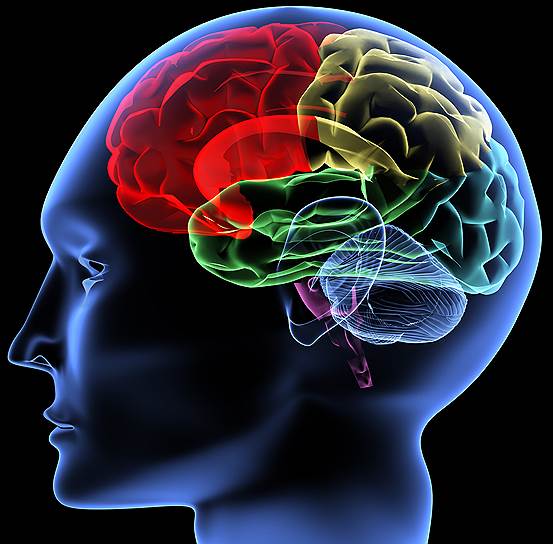 20 самых интересных тестов на эрудицию для каждого