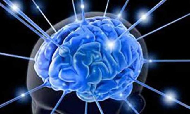 Освещение морской жизни: сфера с акулой — идеальное сочетание красоты и опасности.