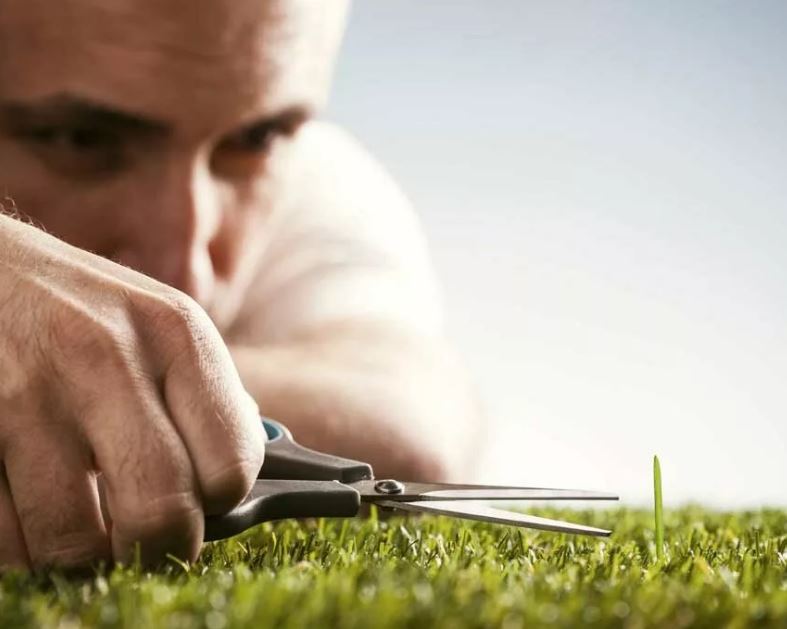 Новые ножницы с острыми лезвиями для точной стрижки волос.