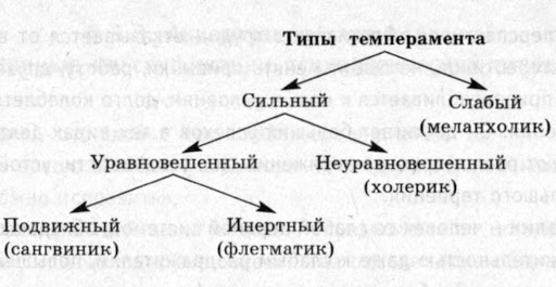 Что такое психологический портрет личности, для чего нужен и как его составить