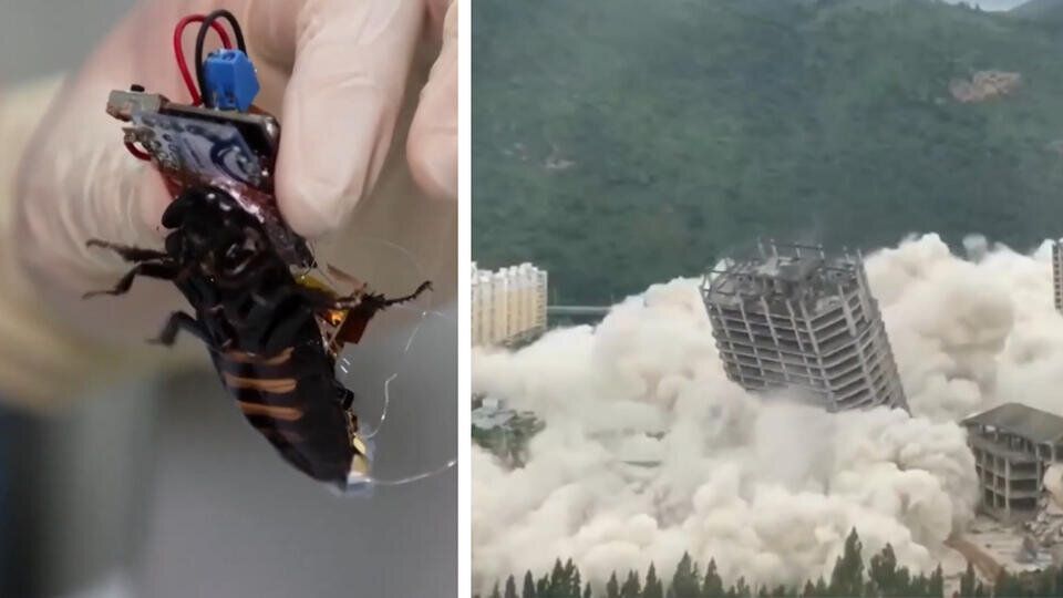Army of Backpack-Wearing Cyborg Cockroaches Swarm Desert Target