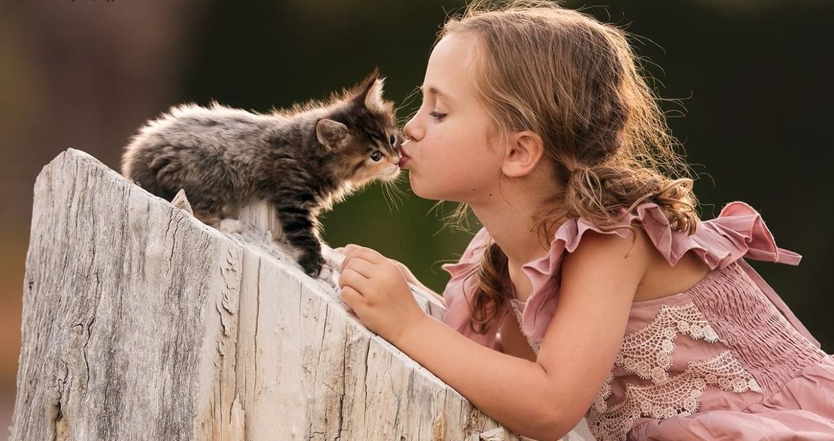 Can Cats Infect You With a Psychosis-Inducing Brain Parasite? The Answer Is Complicated