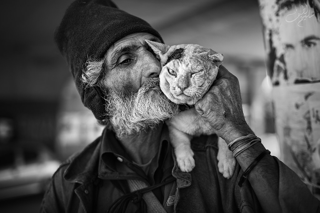 Can Cats Infect You With a Psychosis-Inducing Brain Parasite? The Answer Is Complicated