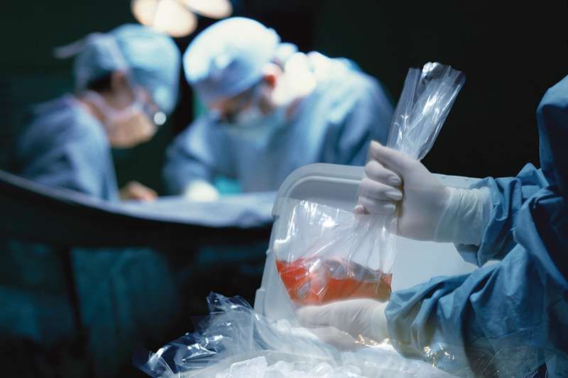 Startup Clones Three Piglets Gene-Hacked to Have Organs Transplanted Into Humans