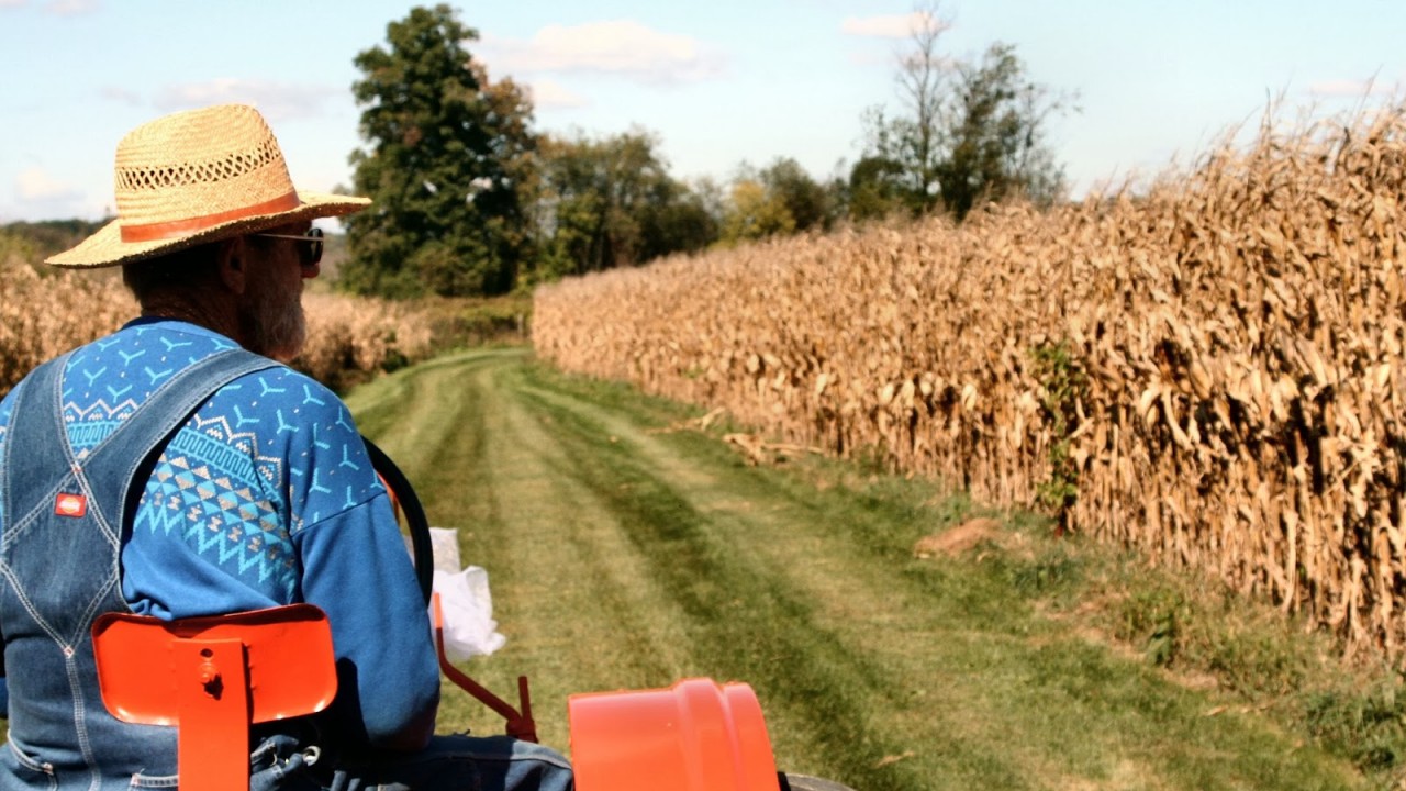 Farmers Beg Trump Not to Deport the Immigrants They Use for Cheap Labor